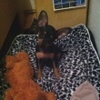 Basty v nov�m domov�